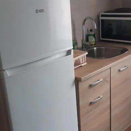 Apartment Levinja