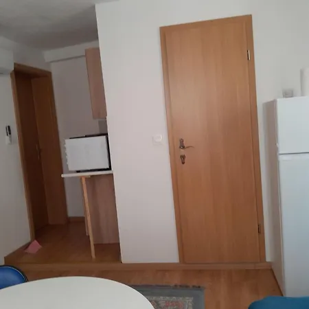 Apartment Levinja *