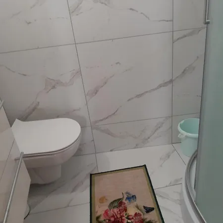 Apartment Levinja *
